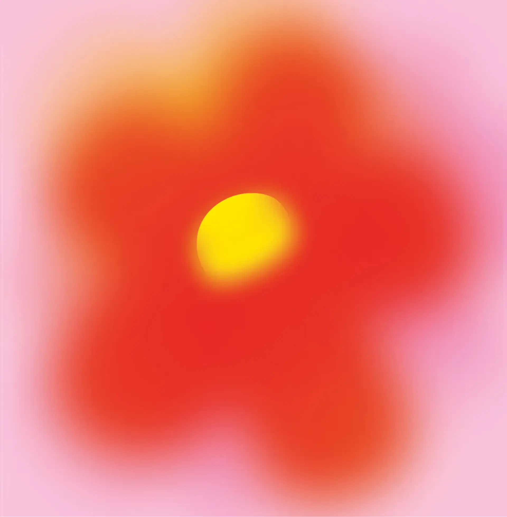Copertina per 